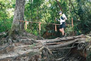 BIB: 
                            <button type="button" onclick="openModal(27744208)" class="btn btn-primary btn-sm float-right btn-popup" data-toggle="modal" data-target=".modal-high-quality">
                        <i class="fas fa-shopping-cart"></i> Add to Cart
                    </button>
                                            <button type="button" onclick="isThisMe(27744208, true)" class="btn btn-success btn-sm float-right btn-popup btn-isme hidden" data-toggle="tooltip" data-placement="bottom" title="นี่คือรูปของคุณใช่ไหม คลิกที่นี่เพื่อเอาเข้าอัลบั้ม">
                        <i class="fas fa-plus"></i> Add to album
                    </button>
                    <button type="button" onclick="isThisMe(27744208, false)" class="btn btn-warning btn-sm float-right btn-popup btn-isnotme hidden">
                        <i class="fas fa-ban"></i> Remove from album
                    </button>